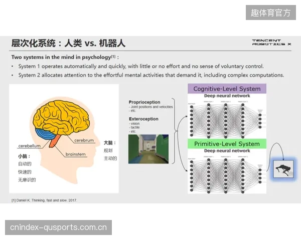 教练员“第六感”时代结束，基于PVDF高频步态数据的决策支持正在成为训练场上的新标准